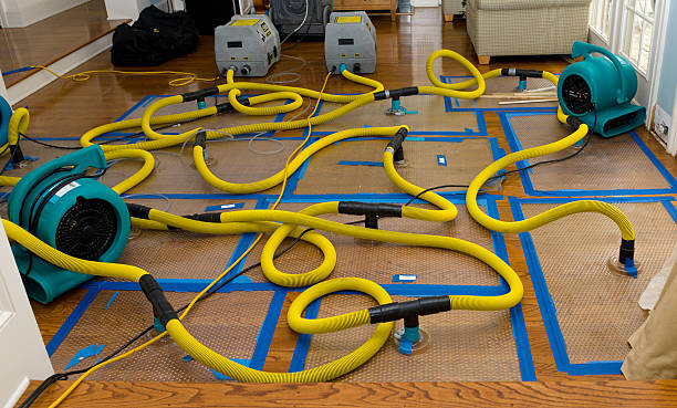 Professional Storm Water Damage Restoration technician working in Otho, IA